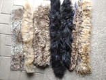 Fur collars, photo number 6