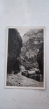 Старинная открытка , горы ., фото №3