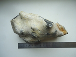 Flint with fossils.1kg., photo number 7