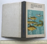 Life and catching freshwater fish. L.P.Sabaneev. Yaroslavl, 1978., photo number 3