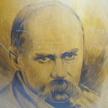 Portrait of Taras Shevchenko, photo number 6