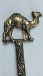 Souvenir coffee spoon with dromedary camel, silver, 6 grams, France, photo number 3