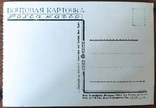Довоєнна листівка «Сухумі. Агава в саду» 1935, фото №3