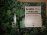 Планета чудес и загадок, фото №3