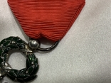 Орден Почесного Легіону Франція, фото №10