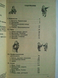 Russian-American slang phrasebook., photo number 4