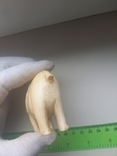 Бивень.Клык.Слоновая кость 157 грамм, photo number 5