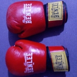 Боксерські рукавички Benlee, photo number 2