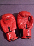 Боксерські рукавички Benlee, photo number 6