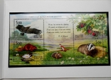 2005 г. Россия-Белорусь Буклет Природа совместный выпуск Фауна (**), фото №5