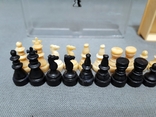 Set of Road Pahod Chess Dominoes Magnetic Vintage Italy, photo number 3