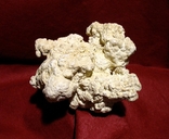 Камень кораллового рифа для морского аквариума, фото №2
