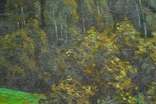 Картина Іванов В.А. "Лісовий пейзаж" 1986 рік, фото №9
