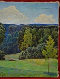 Картина художника Іванова В.А. "Лісовий пейзаж", фото №4