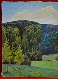 Картина художника Іванова В.А. "Лісовий пейзаж", фото №5