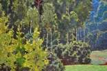 Картина художника Іванова В.А. "Лісовий пейзаж", фото №8