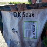 Насіння Ріпаку ДК Сеакс "DK Seax" ( Dekalb ) -Америка, numer zdjęcia 7