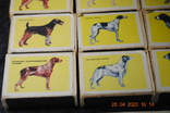 Set of matchboxes, photo number 5