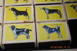 Set of matchboxes, photo number 6