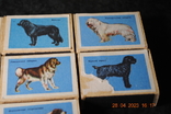 Set of matchboxes, photo number 4