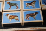 Set of matchboxes, photo number 5