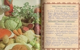 Manuscript Recipes, photo number 4