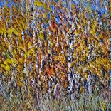 Taras Dudka ''Birch Autumn'' 30/30 oil on canvas 2012, photo number 4