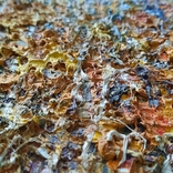 Taras Dudka ''Birch Autumn'' 30/30 oil on canvas 2012, photo number 8