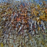 Taras Dudka ''Birch Autumn'' 30/30 oil on canvas 2012, photo number 9