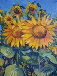 Painting Taras Dudka ''Sunflowers'' 40/50 canvas/oil on canvas 2015, photo number 5