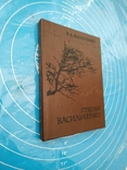 Степан Васильченко (1978) - В.А.Костюченко, фото №3