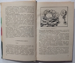 Vegetable grower's handbook (in the steppe zone of the Ukrainian SSR)., photo number 2