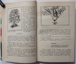 Vegetable grower's handbook (in the steppe zone of the Ukrainian SSR)., photo number 6
