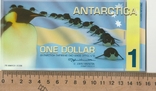 1 доллар антарктика, фото №3