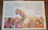 Книга Фрама «Білий ведмідь» 1981, фото №6