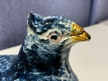Oiler Pigeon, Kuznetsov., photo number 6