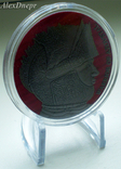 Реплика монеты "Воин Азовстали" 2023, photo number 2