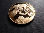 Souvenir coin "Anubis - God of Egypt", photo number 6
