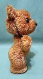 Bear Antique Toy Plush Wood Chips Neck Swivel Spring Upper Paws, photo number 5