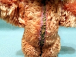 Bear Antique Toy Plush Wood Chips Neck Swivel Spring Upper Paws, photo number 7