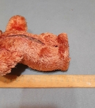 Bear Antique Toy Plush Wood Chips Neck Swivel Spring Upper Paws, photo number 9