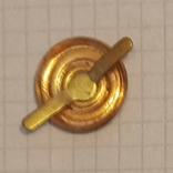 Estonia - cockade of the 1990s, brass, hot emale, photo number 4