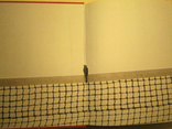 Академия тенниса., фото №3