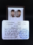 Damiani earrings with diamonds, photo number 12
