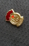 Badge Veteran Hammer Sickle Miniature, photo number 3