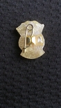 Badge Veteran Hammer Sickle Miniature, photo number 4