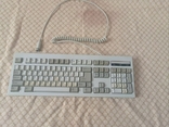 Клавіатура після реставрації, фото №2