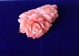 Coral brooch Rose Different Coral, photo number 6