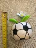 Solar-powered football souvenir, photo number 7
