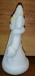 Snow Maiden Plastic, photo number 7